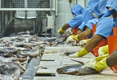 Piura: Dirección de Producción emitirá certificados de captura de manera virtual