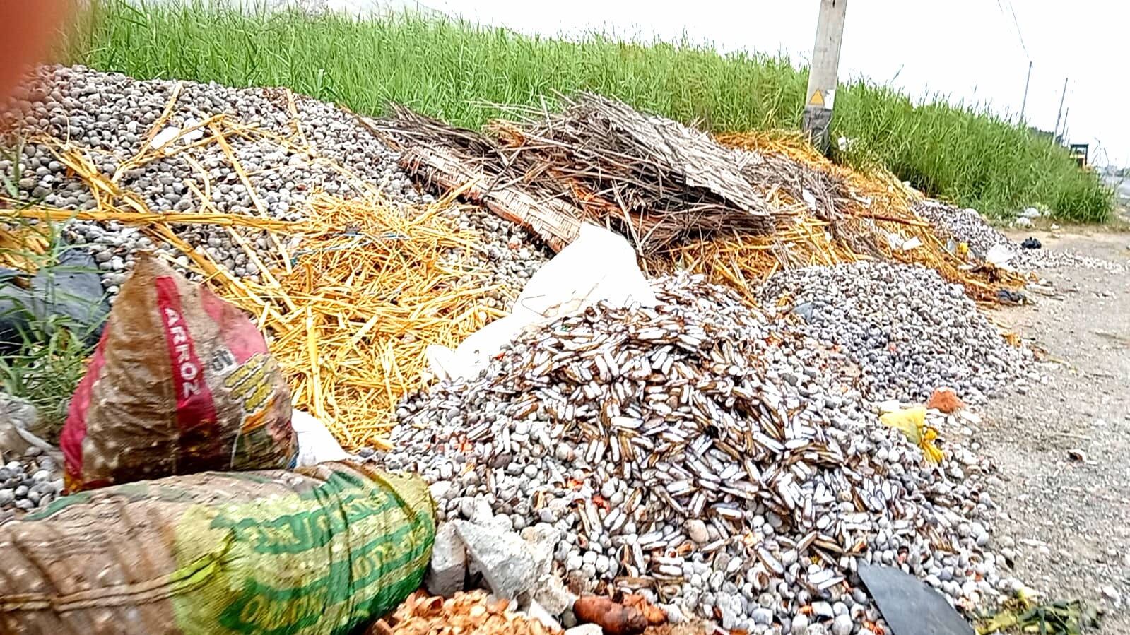 Personas inescrupulosas utilizan este sector en la carretera Panamericana Norte para arrojar sus desperdicios.