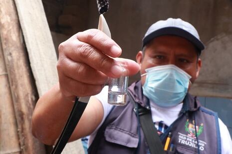 La Libertad: Intensifican lucha contra el dengue en Alto Trujillo