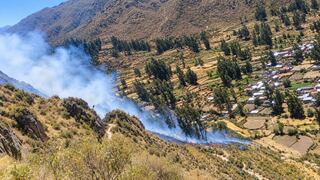 Incendio forestal en zona arqueológica de Huaynacotas en Arequipa