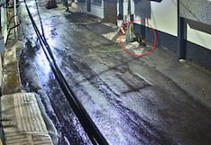 Arequipa: Perro sufre descarga eléctrica en Paucarpata y vecinos denuncian tardía intervención (VIDEO)