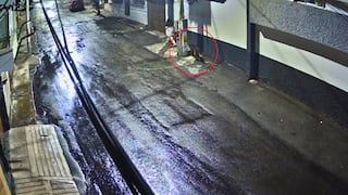 Arequipa: Perro sufre descarga eléctrica en Paucarpata y vecinos denuncian tardía intervención (VIDEO)