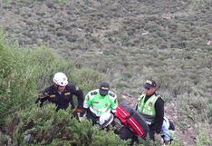 Madre e hijos viven tras caer a un barranco en la vía Arequipa - Puno