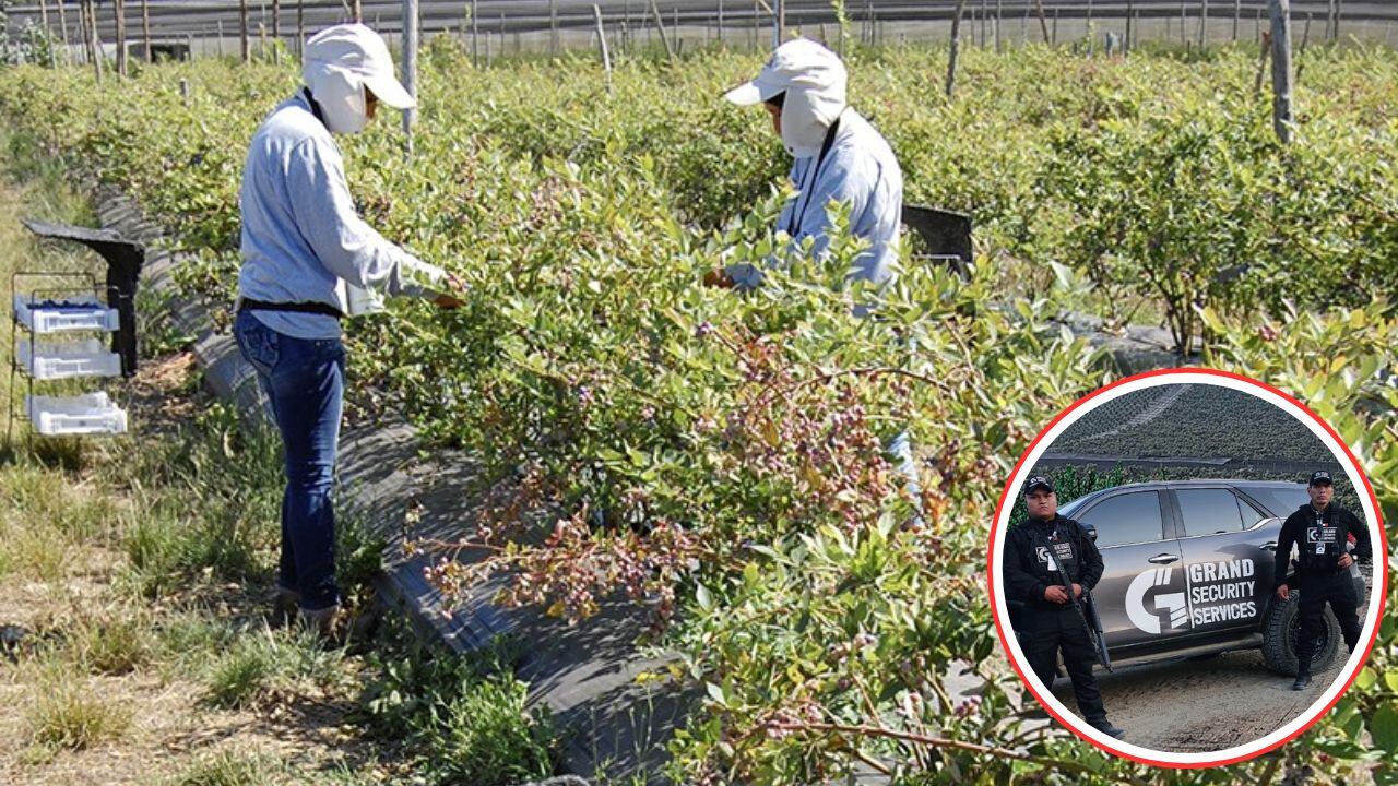 Empresas y trabajadores son blanco de bandas criminales en la región.