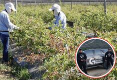 La Libertad: Agroindustria es una de las actividades más afectadas por la inseguridad