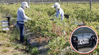 La Libertad: Agroindustria es una de las actividades más afectadas por la inseguridad