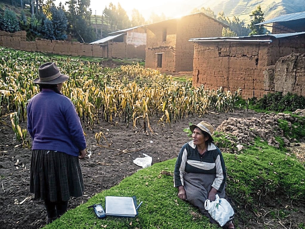 Sequía devasta cultivos en Tarma y comunidades demandan apoyo