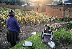 Sequía devasta cultivos en Tarma y comunidades demandan apoyo