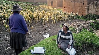 Sequía devasta cultivos en Tarma y comunidades demandan apoyo