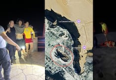Pisco: Marina de Guerra y Policía Nacional salvan a dos parapentistas en islote rocoso de Paracas