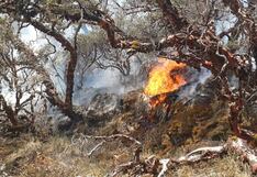 Aumentan a 14 los fallecidos por incendios forestales en el país