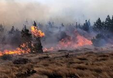 Incendio forestal en Lambayeque cobra la vida de una mujer y deja 16 personas intoxicadas