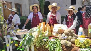 Variedad de productos orgánicos en “Festival del maíz y de la papa, Pocsi 2025” (VIDEO)