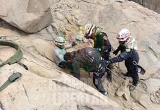 Trujillo: Policía rescata a dos jóvenes atrapados en la montaña Chiputur