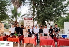 Ica: concurso de coctelería por el retorno del Festival Internacional de la Sirena de Huacachina