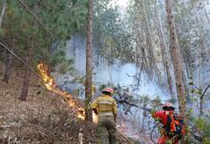 Incendios forestales en Perú: Aumenta a 18 la cifra de fallecidos y 150 heridos