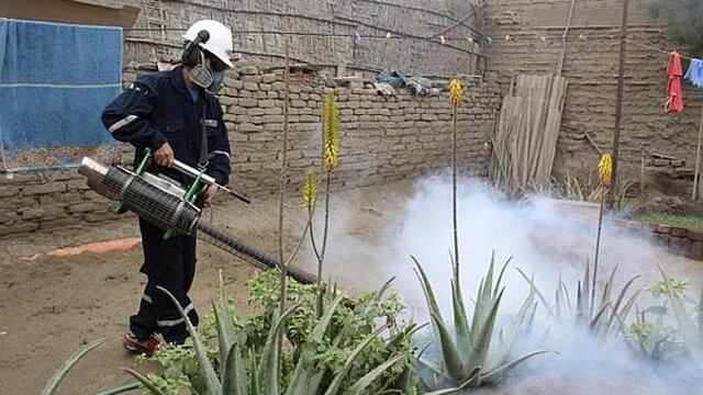 ​Chimbote: Confirman primer caso de dengue en la ciudad