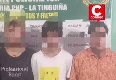 Ica: policía desarticula a la banda criminal “Los Lechuceros de Olaya” en La Tinguiña