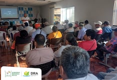 Agricultores de Pisco y Chincha son capacitados sobre fertilización y nutrición del Palto