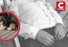 Huancayo: Escolar termina con lesiones en el rostro y cuello tras ataque de un perro