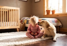 ¿Qué debes saber antes de adoptar un perro si tienes un bebé en casa?