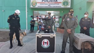 Dos perros adiestrados y dron se suman a la búsqueda de soldado desparecido en Tacna