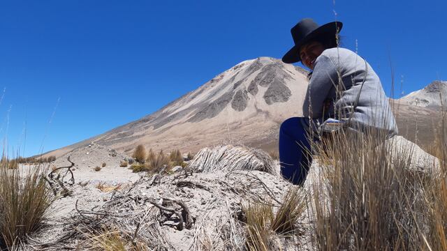 Tacna: Un viaje para conocer sus atractivos en costa y sierra (FOTOGALERÍA)