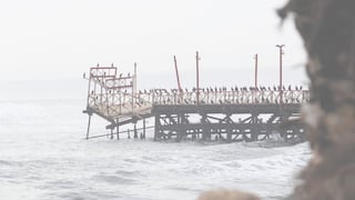 La Libertad: Impulsan recuperación del tradicional muelle de Huanchaco