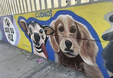 Ica: murales urbanos promueven el respeto y amor por los animales
