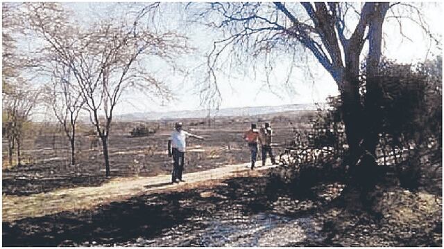 Bomberos extinguen incendio forestal en el distrito de Catacaos