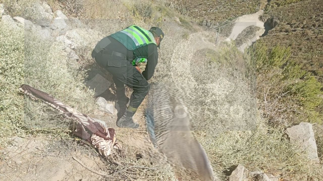 Conductor muere y copiloto quedó con fracturas en la carretera de Yanaquihua Condesuyos. (Foto: GEC)