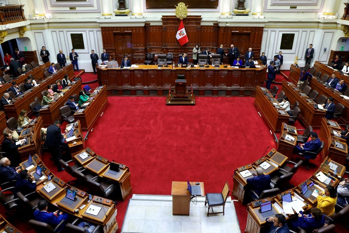 Congresistas pueden “expresar, defender y promover posiciones ideológicas, programáticas y partidarias". Foto: Congreso.
