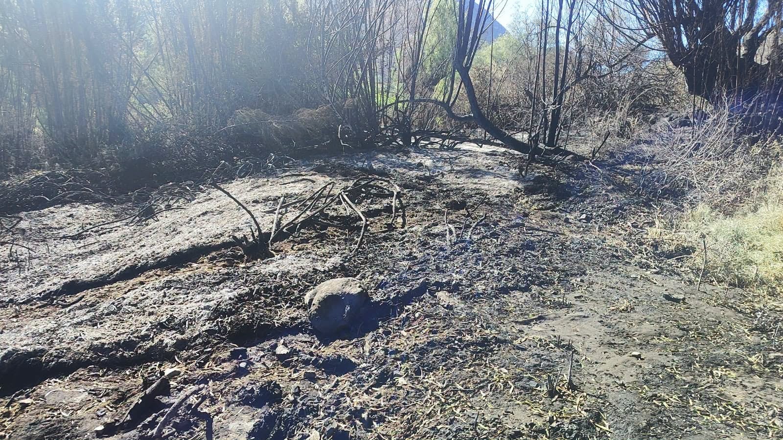 Incendio destruye 1,5 hectáreas de pastos naturales en Yarabamba (Foto: Municipaldiad de Yarabamba)