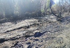 Incendio destruye 1,5 hectáreas de pastos naturales en Yarabamba