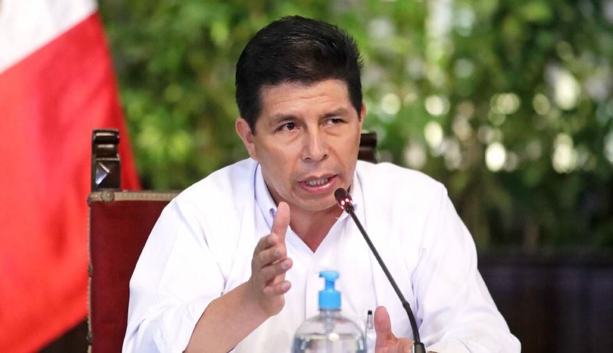El entonces presidente Pedro Castillo pidió facultades en materia tributaria, financiera y económica. (Foto: GEC)
