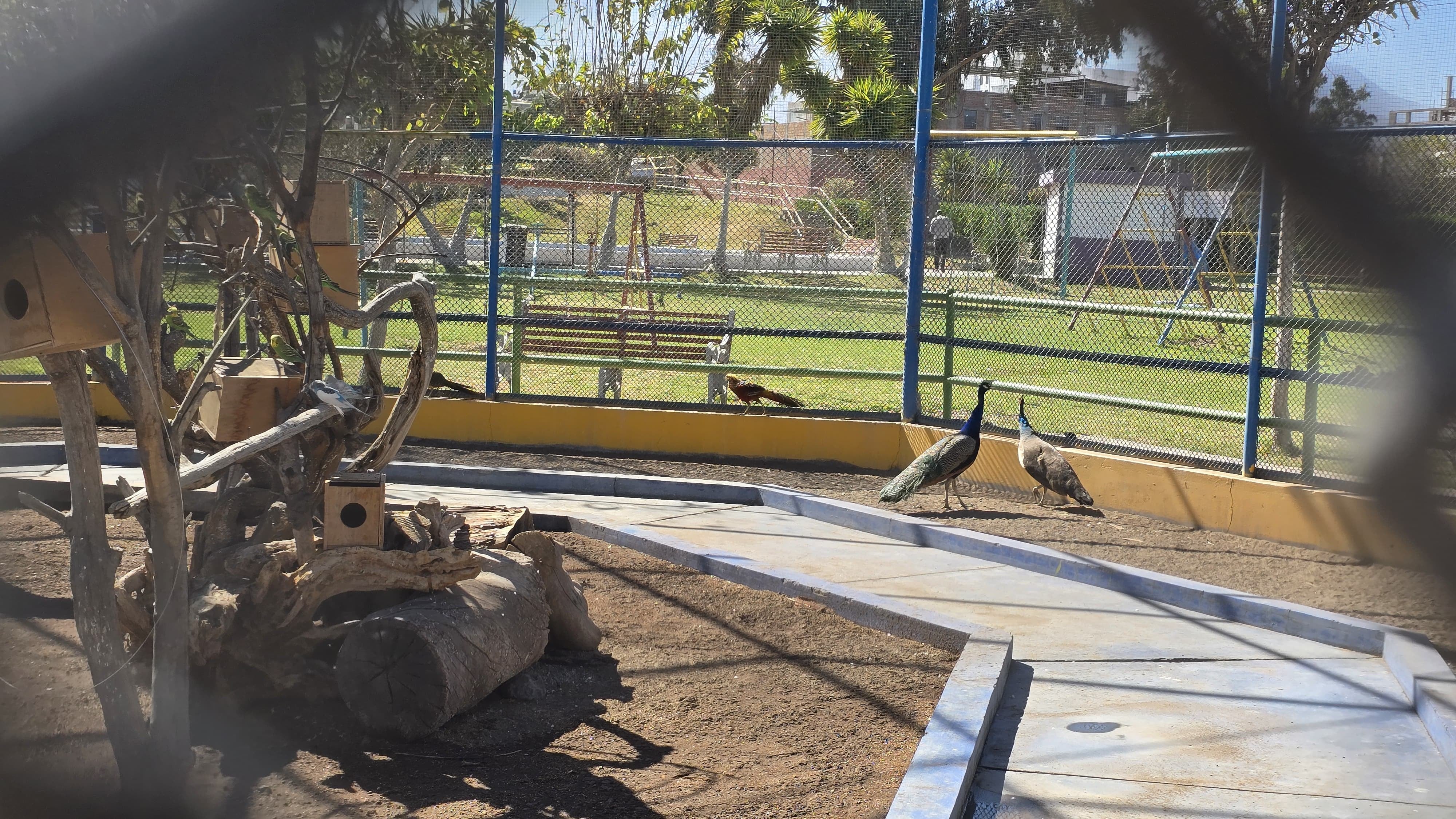Parque ecológico El Bosque, en Socabaya. Foto: GEC.