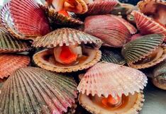 Piura: Con autorizaciones y concesiones promueven la formalización de la acuicultura