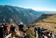 Turismo en Arequipa: Aseguran terrenos para proyectos turísticos en el cañón del Colca