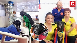 ¡Un milagro! Mujer logra despertar del coma tras ser visitada por su perro de 12 años en Colombia