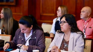 Facultades legislativas: Un bloque de oposición votó en contra de informe de la Comisión de Ambiente que irá a Constitución