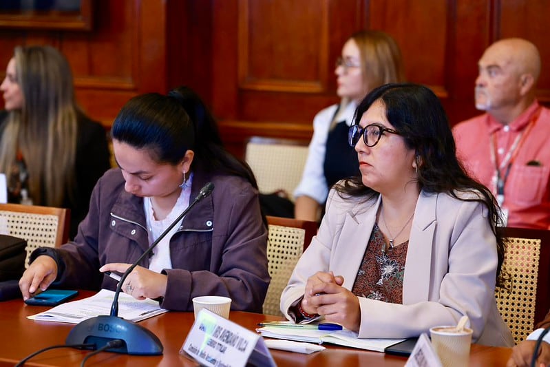 Giannina Avendaño, de JP, preside la Comisión de Constitución, pero votó en contra de un informe que llegará a su grupo. (Foto: Congreso)