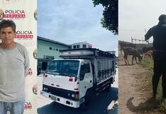 Lambayeque: Jueza libera a abigeo pese a evidencias en su contra