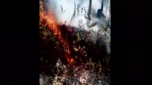 Pasco: realizan trabajos para extinguir incendio forestal en Vilcabamba, informó el Indeci