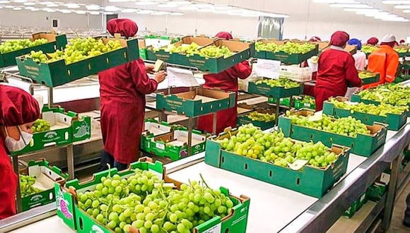 El presidente de la Cámara de Comercio, Javier Bereche, dijo que los productos más afectados en las exportaciones son el mango, la uva, arándano, banano, entre otros.