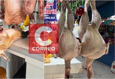 Furor por el pavo y el lechón en mercados de Ica a pocas horas de la Navidad