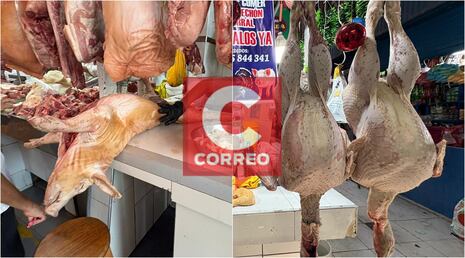 Furor por el pavo y el lechón en mercados de Ica a pocas horas de la Navidad