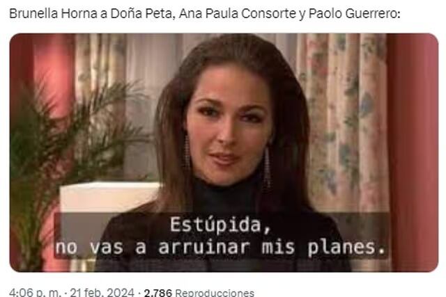 Memes de Paolo Guerrero.