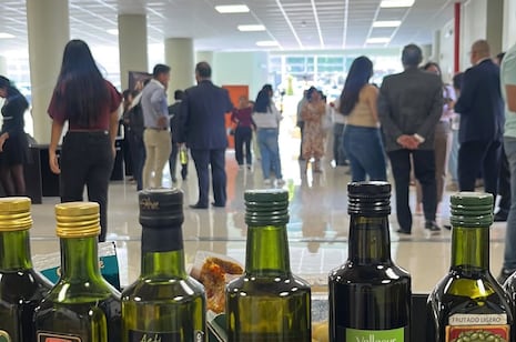 Tacna se convertirá en la capital del olivo, aceituna y aceite de oliva este 18 y 19