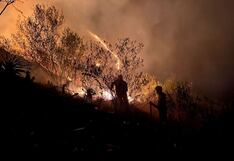 COEN reporta 32 incendios forestales activos y más de 2 mil hectáreas de cultivo afectadas
