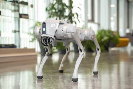 Alqo, el perro robot que ayuda a reconstruir el patrimonio histórico de Lima